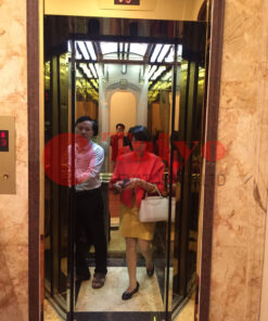 Thang tải khách vách inox giương vàng xen lẫn xọc