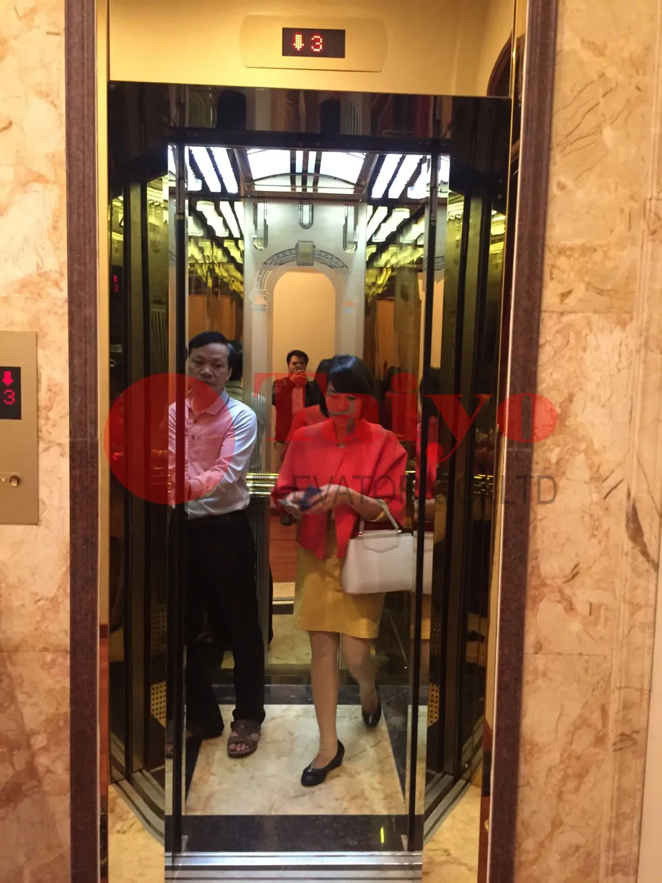 Thang tải khách vách inox giương vàng xen lẫn xọc