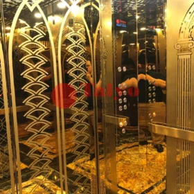 Thang Máy Chở Khách Tại Bãi Cháy, Quảng Ninh 3 thang may 4