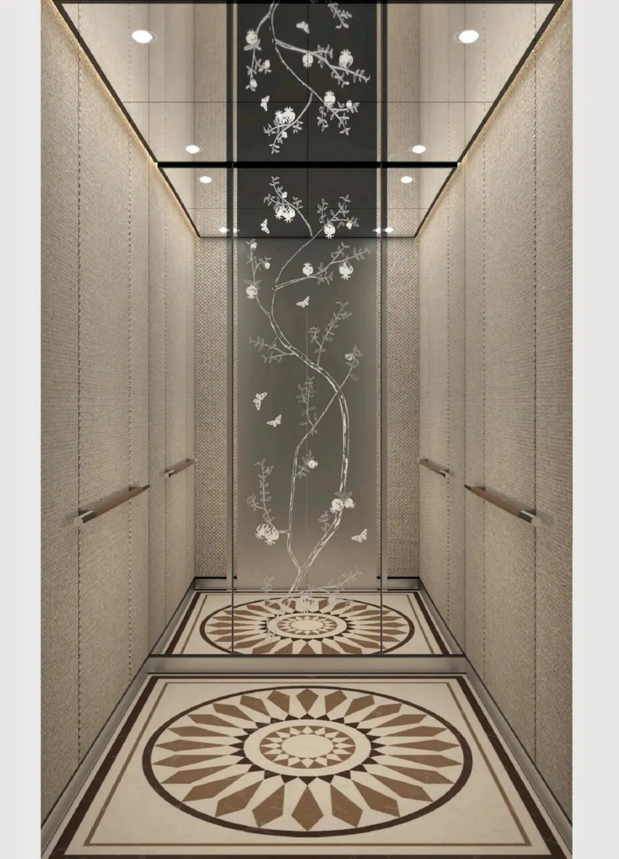 Mẫu cabin thang máy gia đình TAIYO - Plus 2