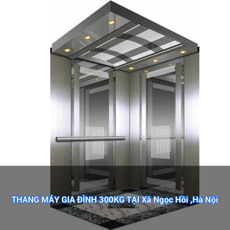 THANG MÁY GIA ĐÌNH 300KG TẠI Xã Ngọc Hồi ,Hà Nội 35 featured overlay 24172