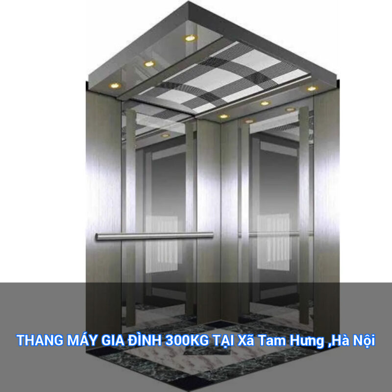 THANG MÁY GIA ĐÌNH 300KG TẠI Xã Tam Hưng ,Hà Nội 22 featured overlay 24196