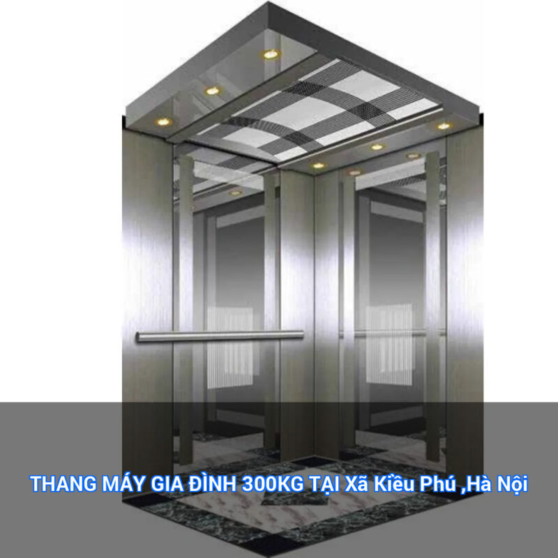 THANG MÁY GIA ĐÌNH 300KG TẠI Xã Kiều Phú ,Hà Nội 1 featured overlay 24270