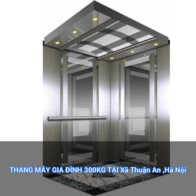 THANG MÁY GIA ĐÌNH 300KG TẠI Xã Thuận An ,Hà Nội 1 featured overlay 24290